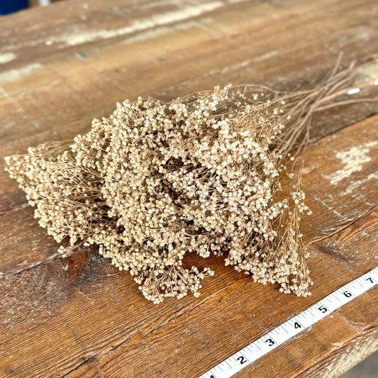 broom bloom natural filler diy dried flowers forever