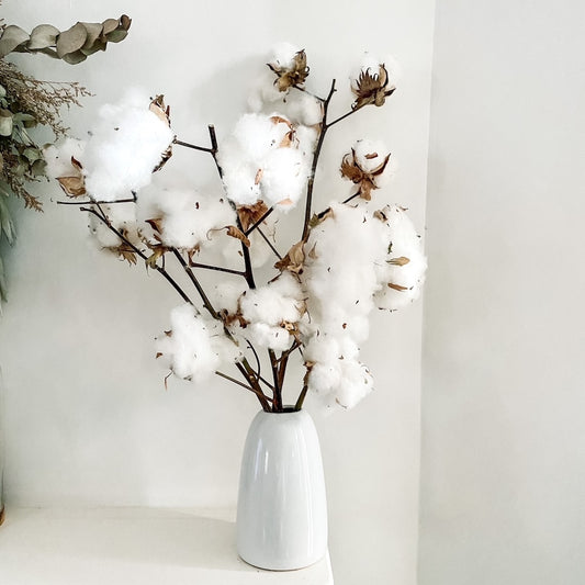 cotton branches white dried diy decor