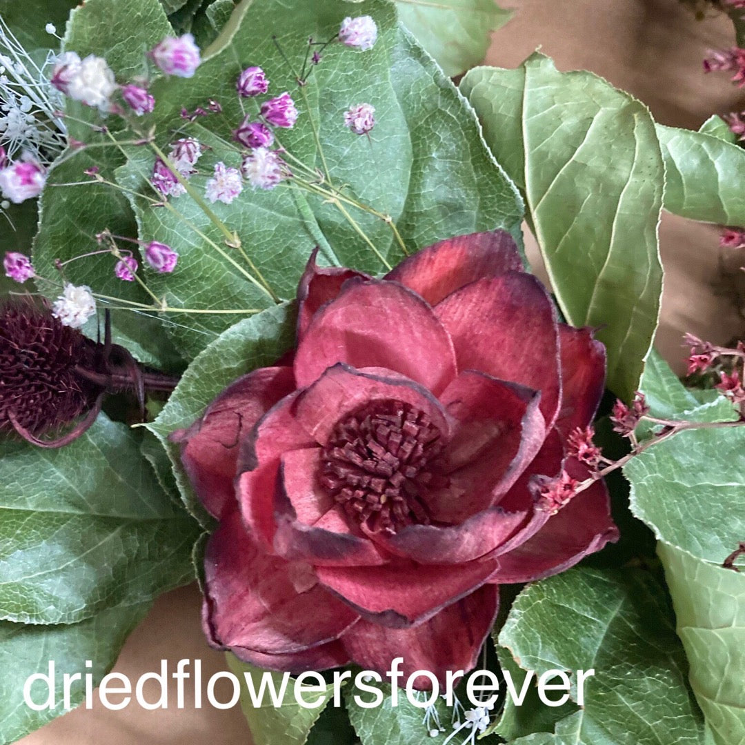 Dried burgundy lemon leaf leaf