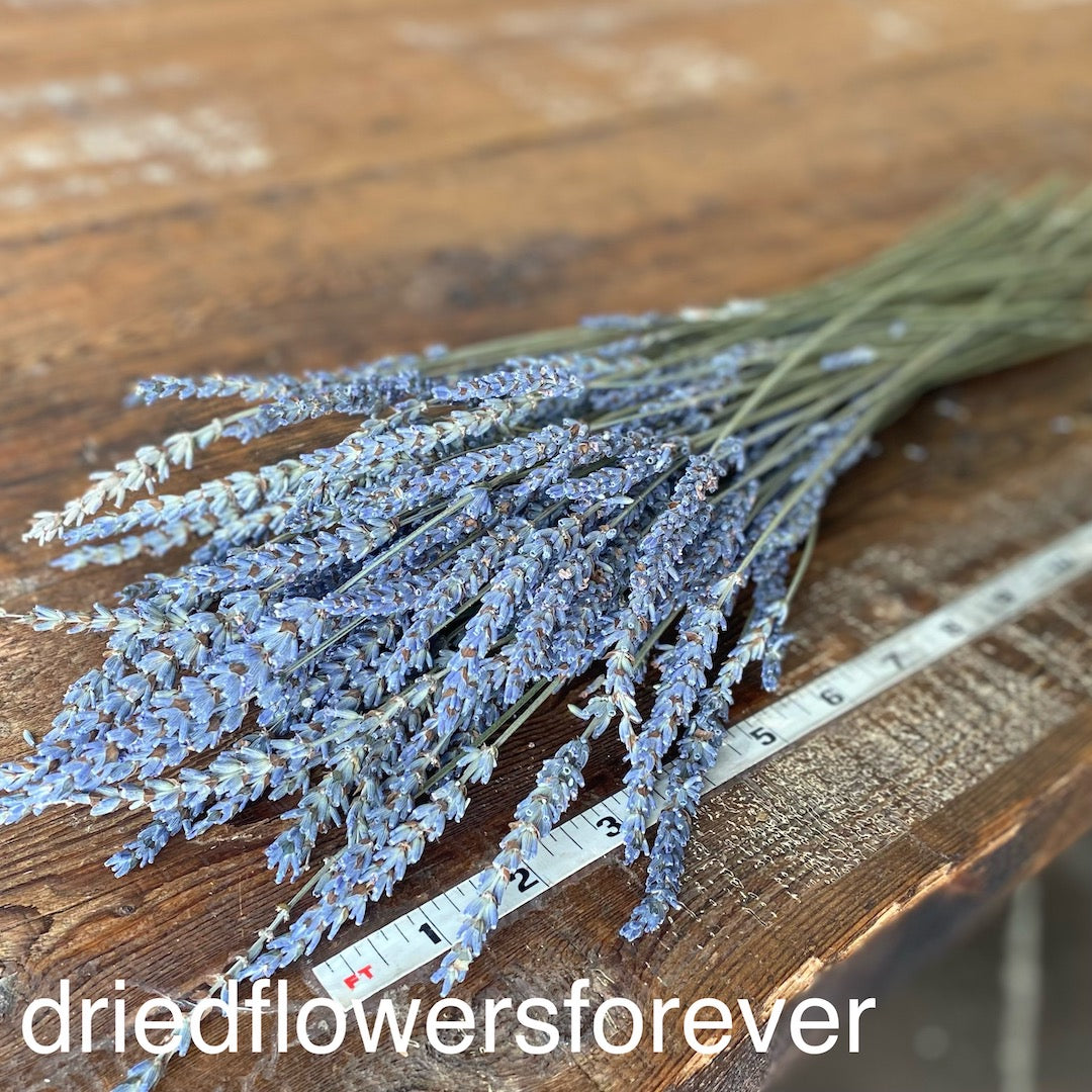 dried lavender flower arrangements Lavender