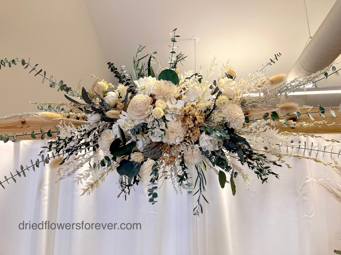 ivory Eucalyptus dried flower spray