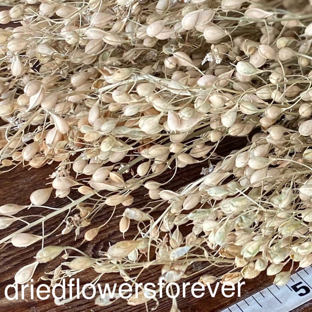 Neutral Linium Dried Flowers DIY