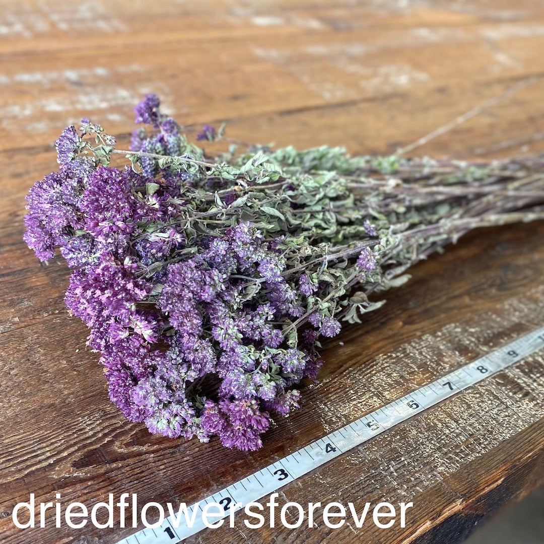 Purple Oregano Dried Flowers DIY