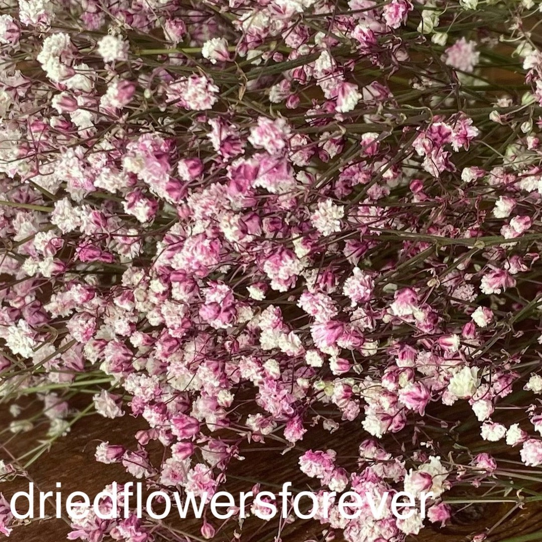 babys breath pink dried flowers DIY