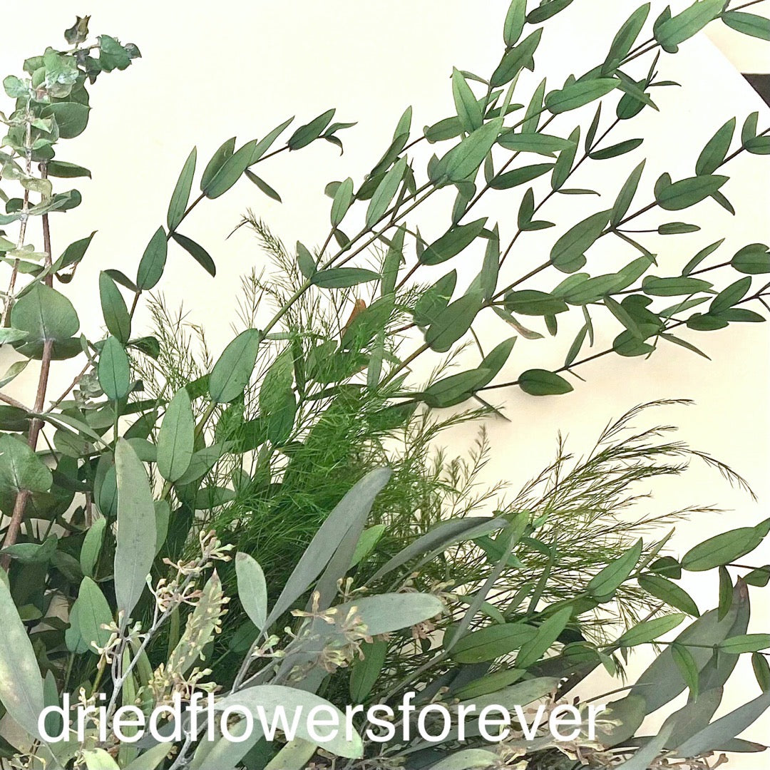 Bundle eucalyptus silver dollar spiral tree fern willow seeded parvifolia preserved long lasting