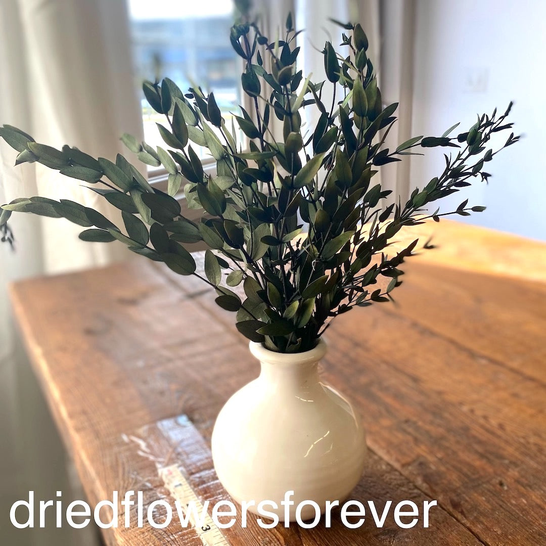 White Ceramic Bud Vases - Qty 12 - Rental