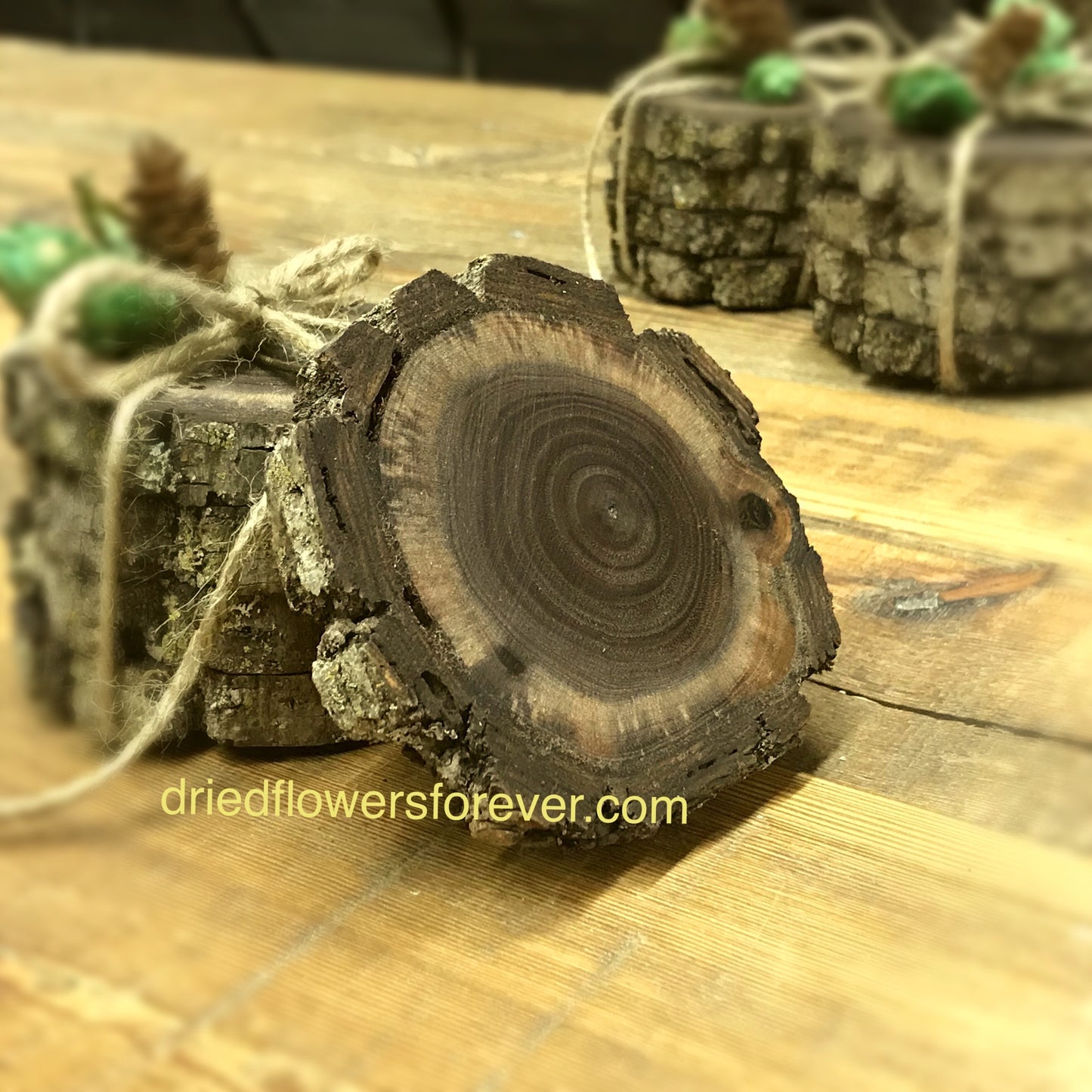 Black Walnut Wood Coasters with Bark - 4 Pack
