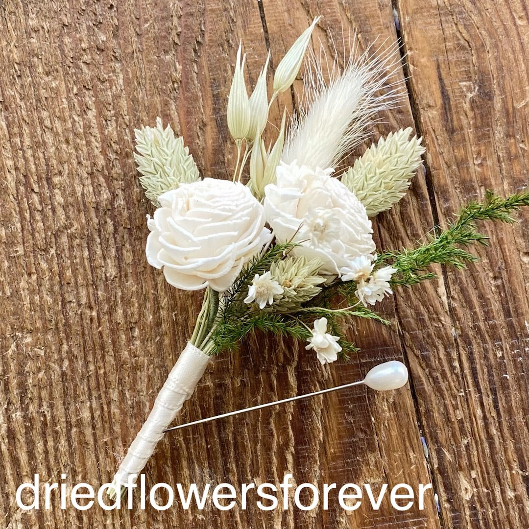 Phalaris White Dried Flowers