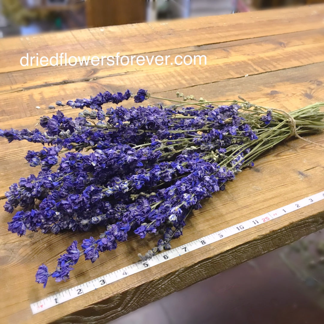 Purple Larkspur - Delphinium - Dried Flowers Forever - DIY