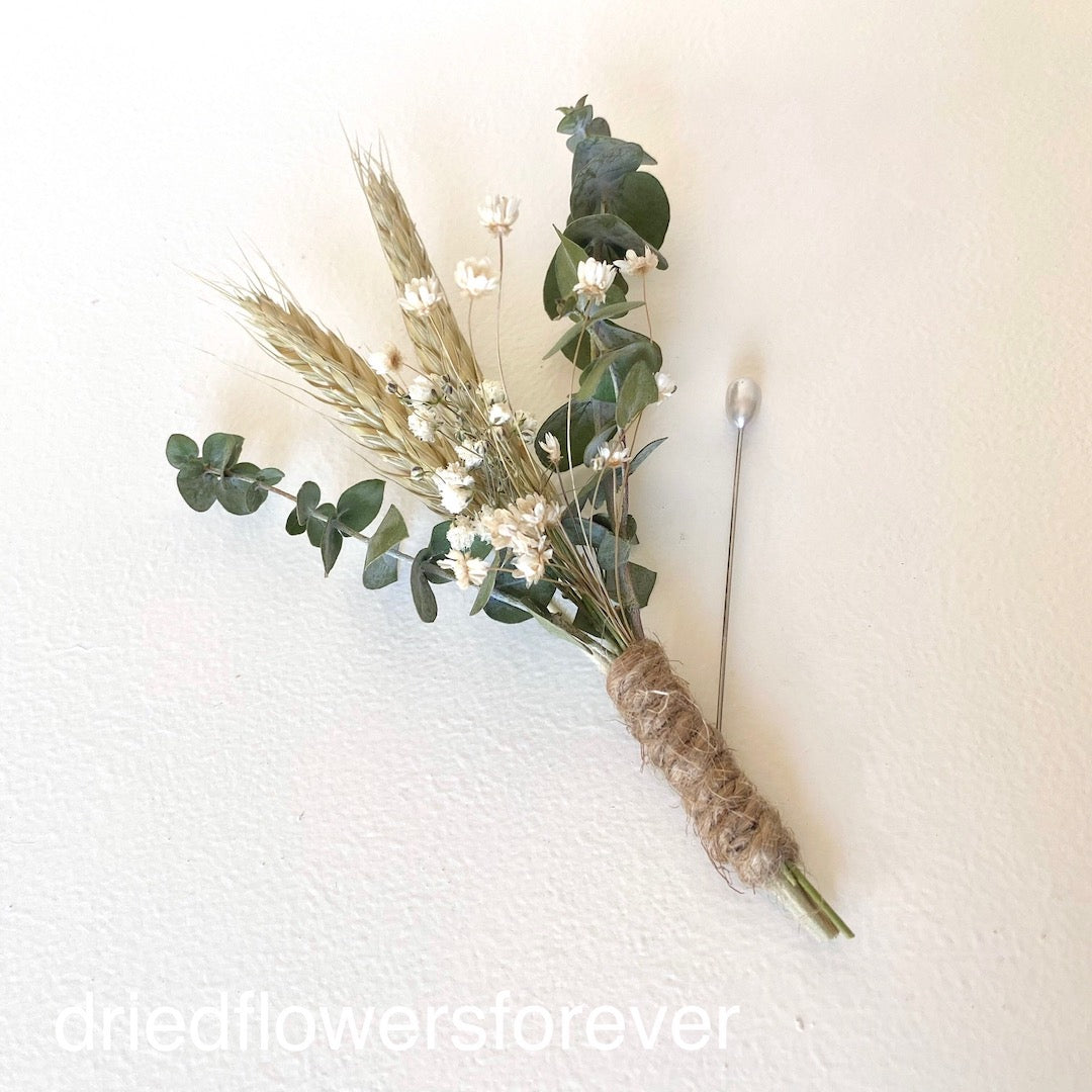air plant boutonniere Eucalyptus Wheat Boutonniere