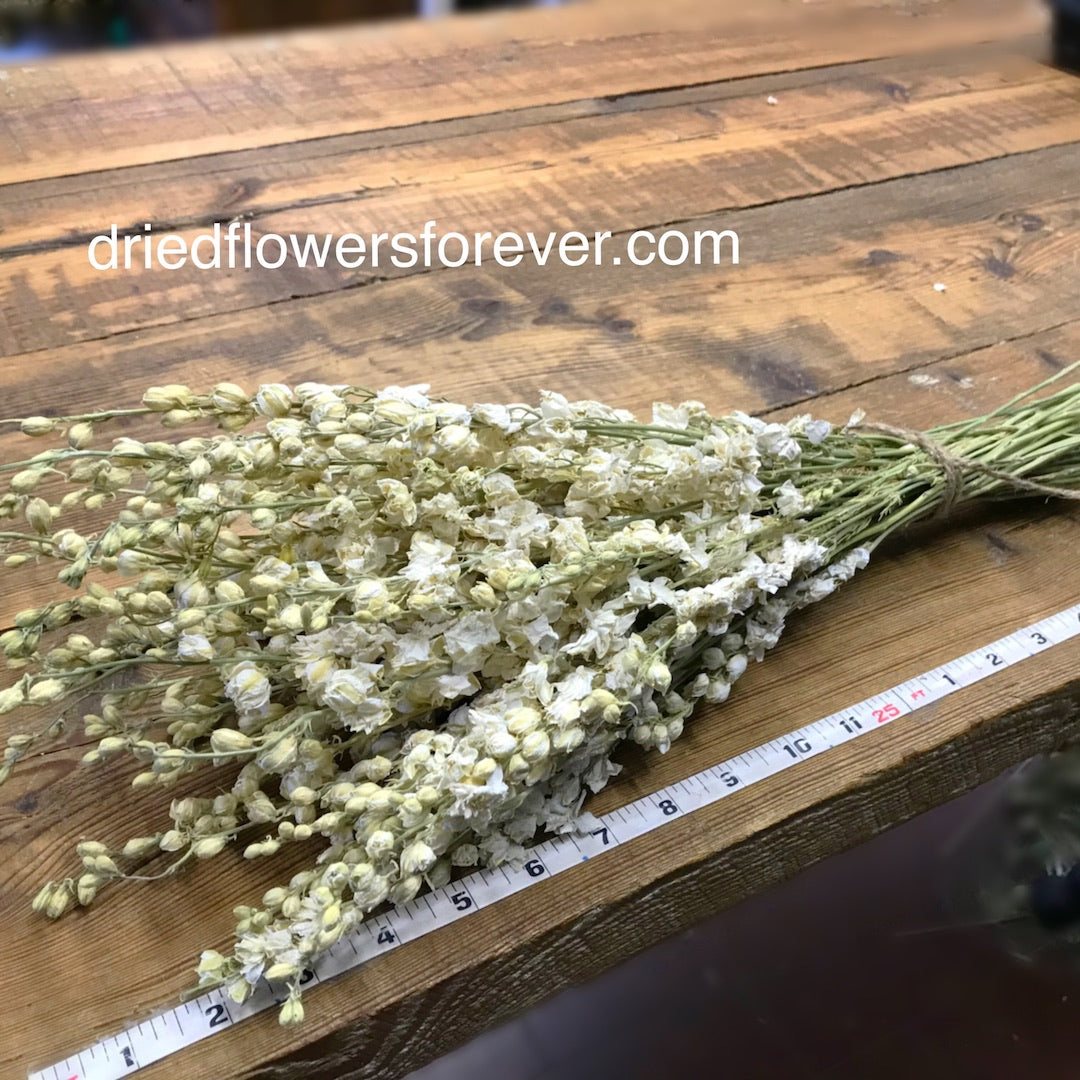 white dried Larkspur wedding flowers ivory cream delphinium