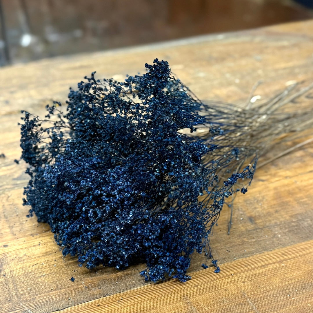 blue boom bloom babys breath gypsophila-dried-flowers-navy