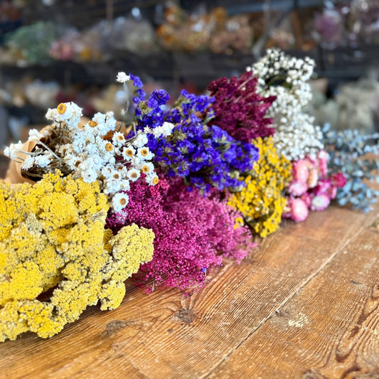 bright colorful spring summer bulk dried flowers diy forever