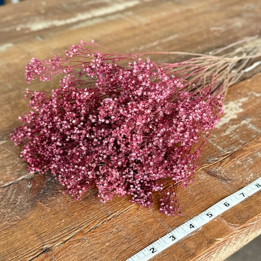 burgundy babys breath broom bloom diy dried flowers forever