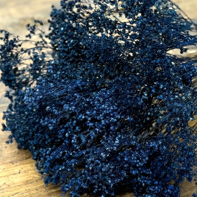 deep blue broom bloom babys breath gypsophila dried flowers