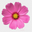 logo of Dried Flowers Forever - Bouquets, Gifts, Wedding, Home Decor
