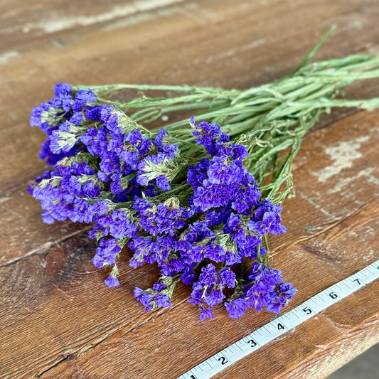 purple blue statice diy dried flowers forever