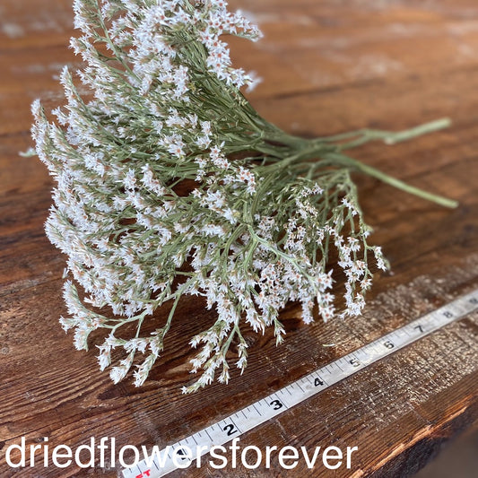 German Statice White Gray Dried Flowers DIY