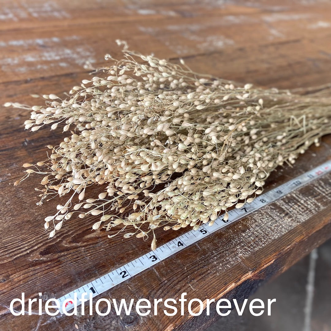 Neutral Linium Dried Flowers DIY