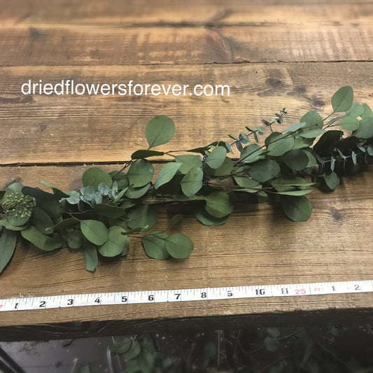 preserved eucalyptus garland greenery silver dollar seeded