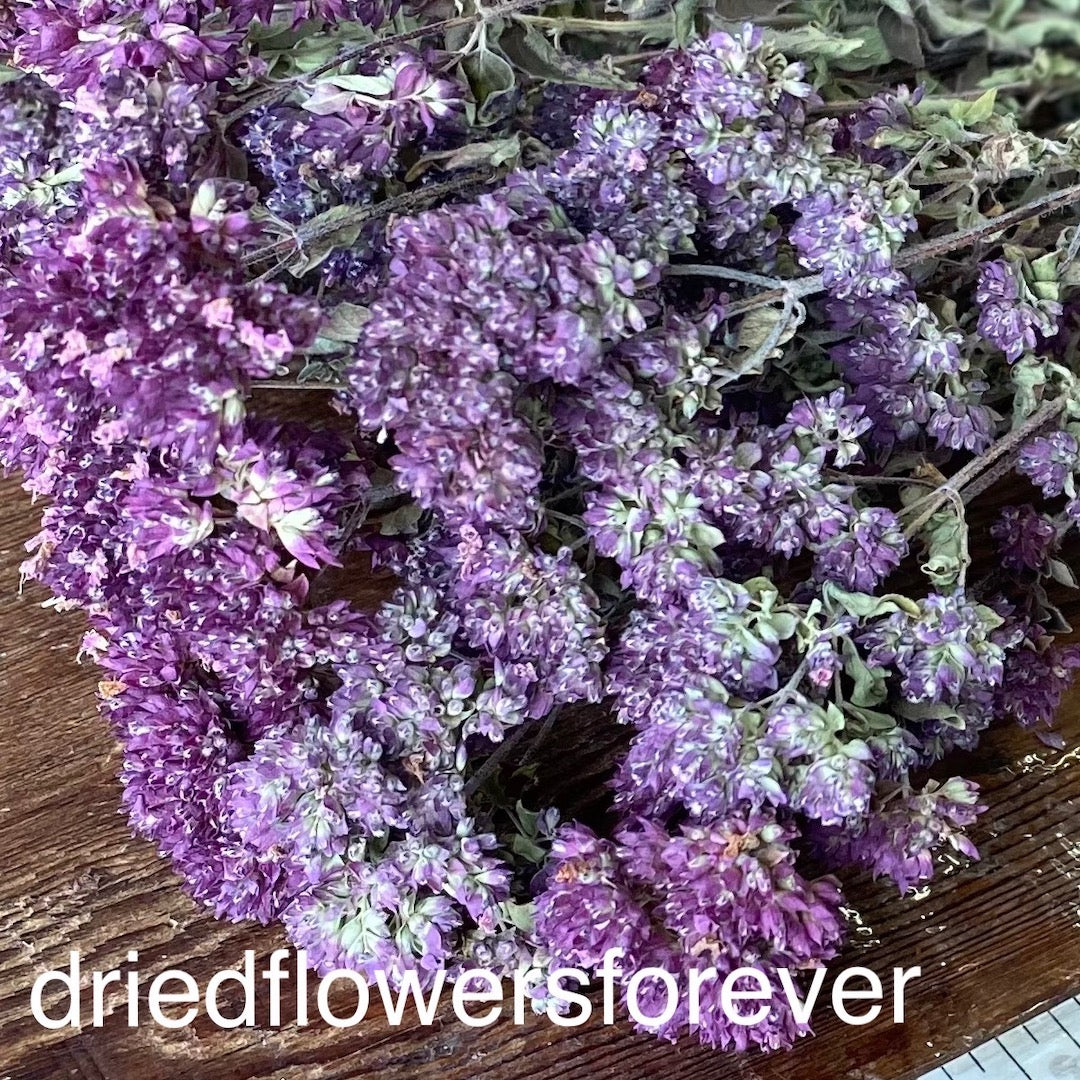 Purple Oregano Dried Flowers DIY