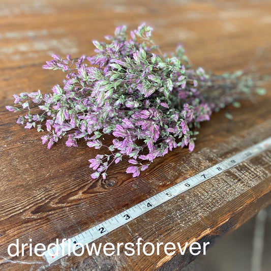 Purple Oregano Santa Cruz Dried Flowers DIY
