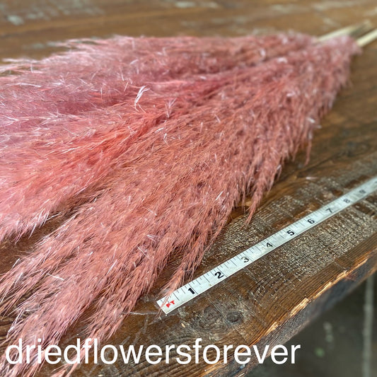 Soft Pink Pampas Grass Dried Flowers DIY