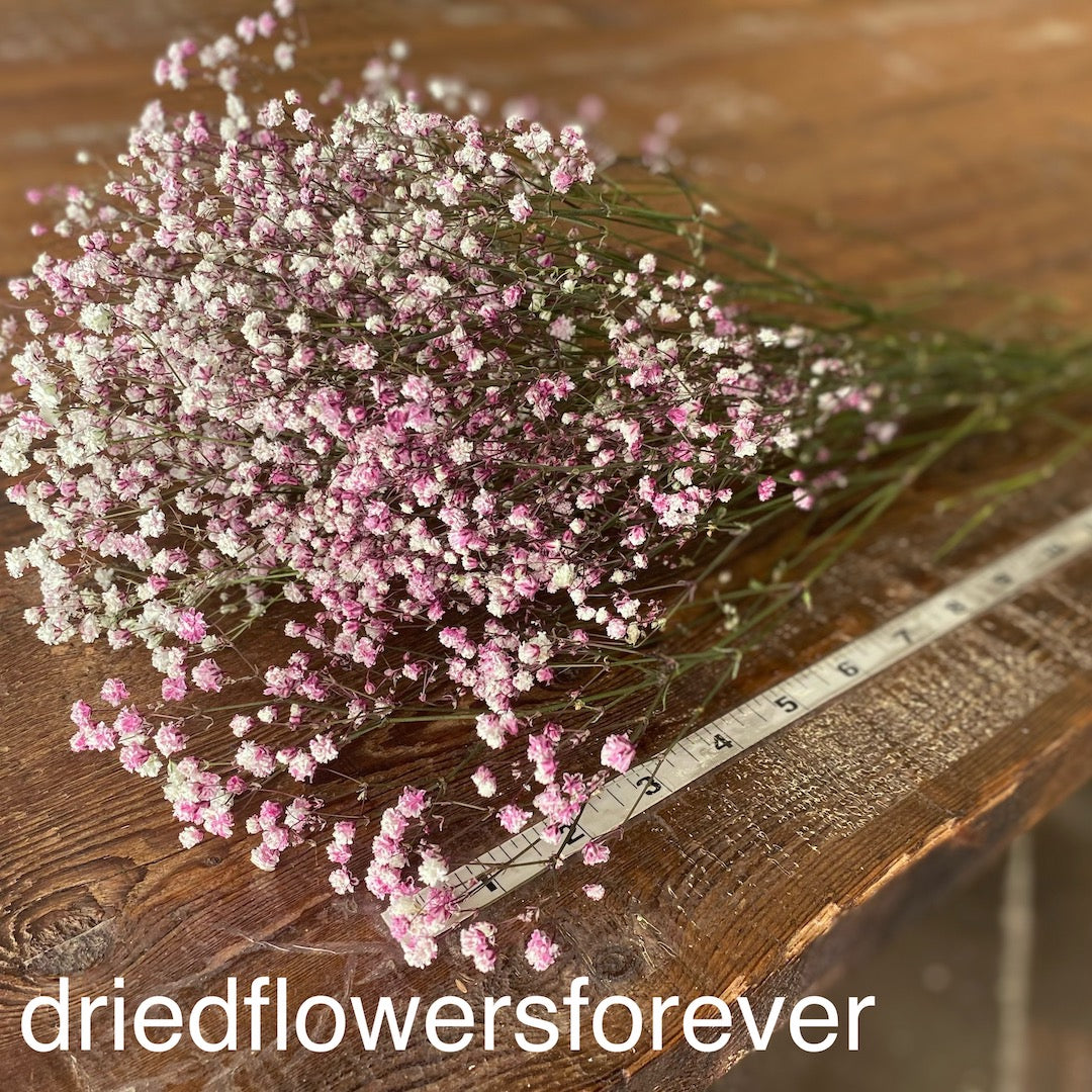 babys breath pink dried flowers DIY