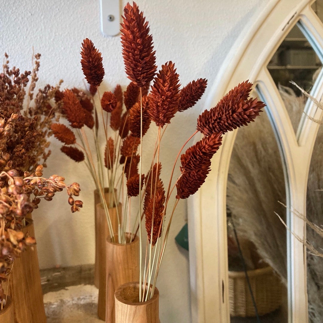 bud vase dried burnt orange