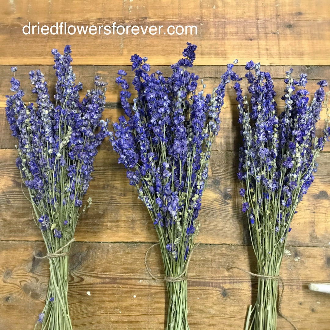 dried Larkspur delphinium purple blue flowers wedding