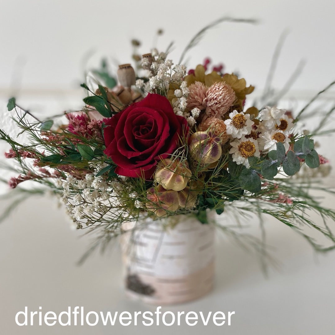 dried rose red peach pink flowers