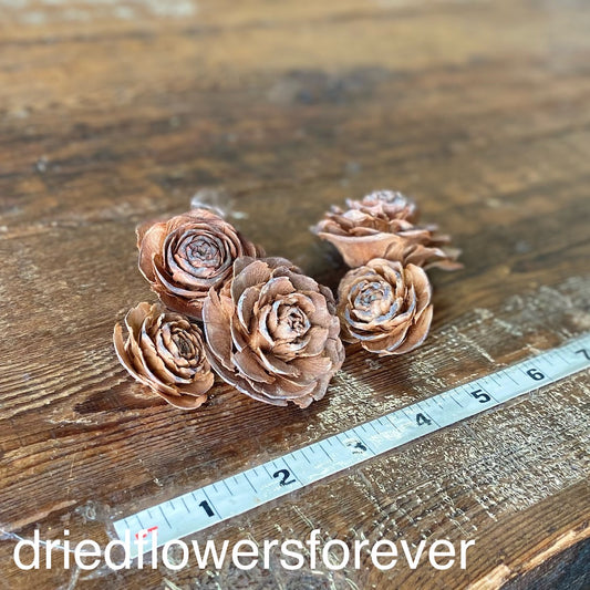 Natural Brown Cedar Roses Dried Flowers DIY
