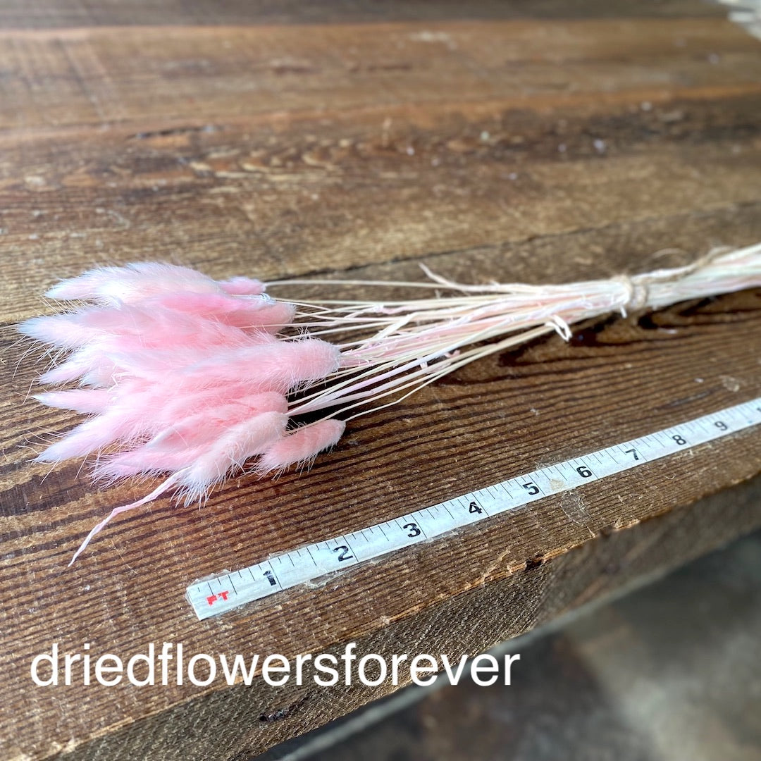 Baby Pink Dried Bunny Tail Grass Bouquet - 30 Pieces
