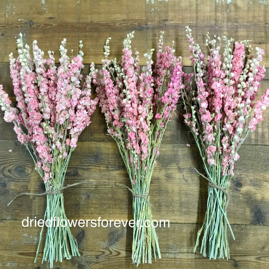 pink Larkspur delphinium dried flowers wedding bundle