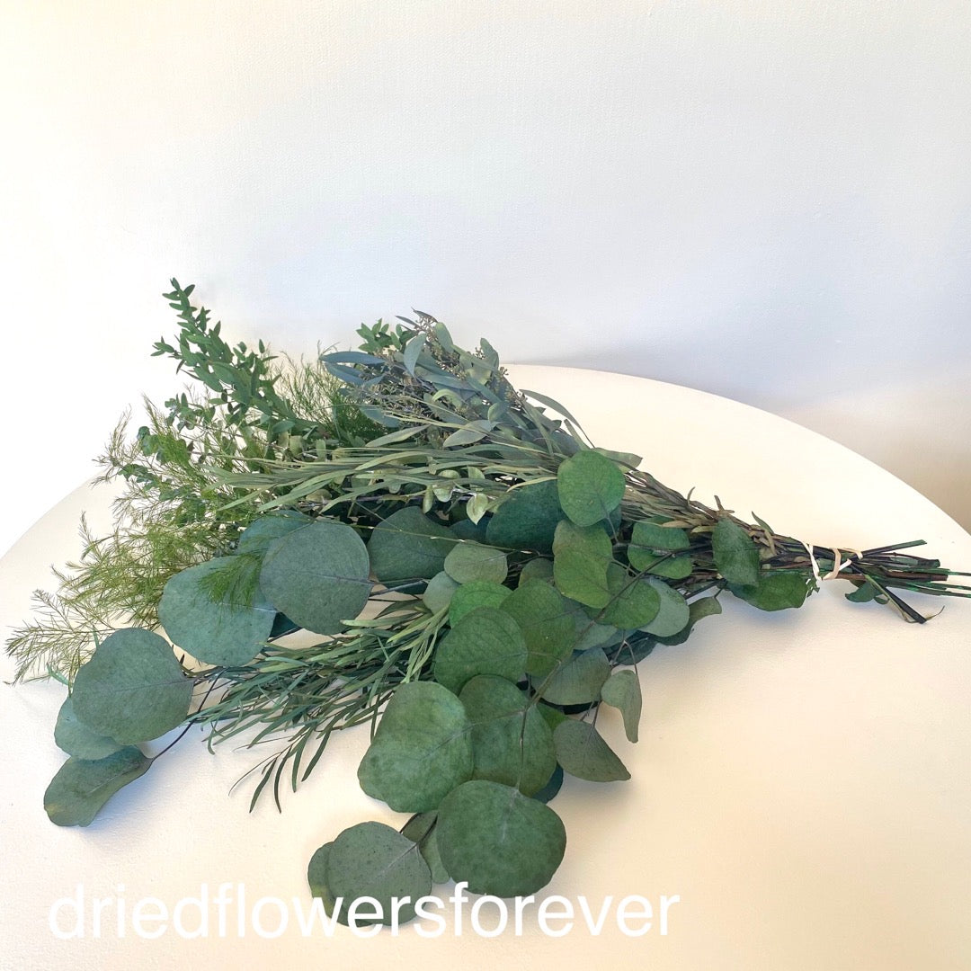 Eucalyptus Mixed Bundle (Preserved) - 5 oz